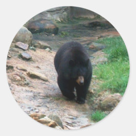 Adesivo Redondo Black Bear Americano