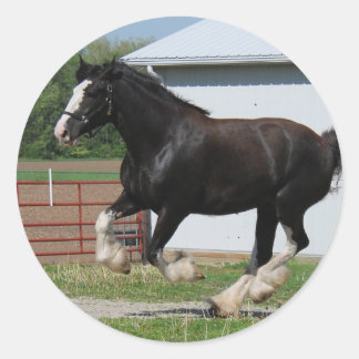 Adesivo Redondo Black Clydesdale