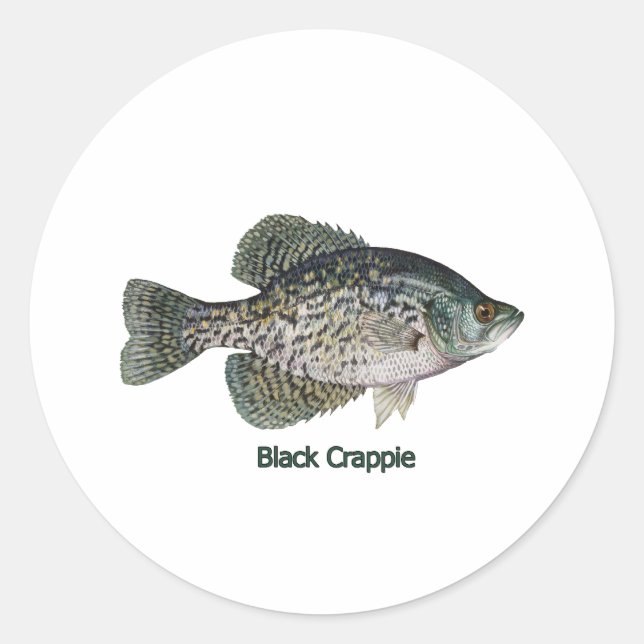 Adesivo Redondo Black Crappie (com título) (Frente)