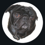 Adesivo Redondo Black Funny Pug<br><div class="desc">Black Funny Pug</div>