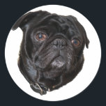 Adesivo Redondo Black Funny Pug<br><div class="desc">Black Funny Pug</div>