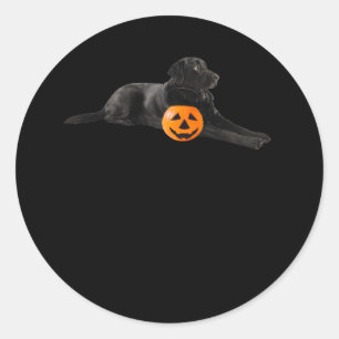 Adesivo Redondo Black Lab Mutpy Dog Halloween Pumpkin Jack O