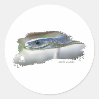 Adesivo Redondo Black Mamba