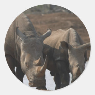 Adesivo Redondo Black Rhinos Sticker