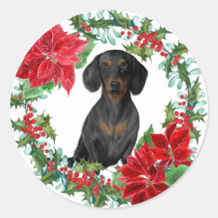 Adesivo Redondo Black Tan Dachshund Poinsettia Holiday Wreath
