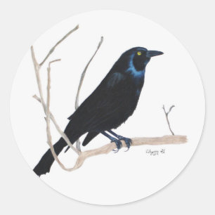 Adesivo Redondo Blackbird Sticker