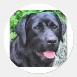 Adesivo Redondo BlackLabRizoFull.jpg