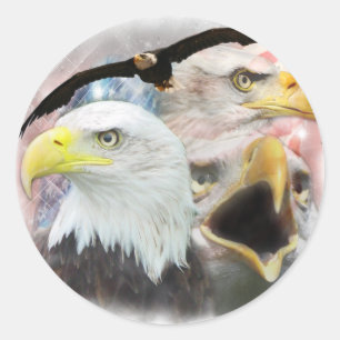 Adesivo Redondo Blad Eagles