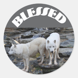 Adesivo Redondo Blessed