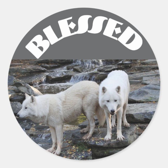 Adesivo Redondo Blessed (Frente)