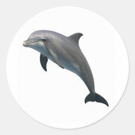 Adesivo Redondo Bliss de Bottlenose