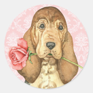 Adesivo Redondo Bloodhound cor-de-rosa dos namorados