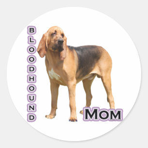 Adesivo Redondo Bloodhound Mãe 4 - Sticker