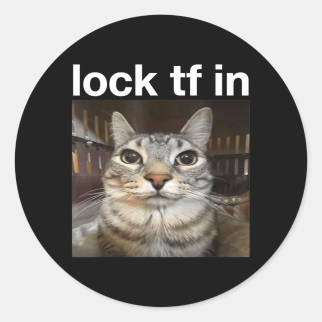Adesivo Redondo Bloquear TF no Meme de Gato (Frente)