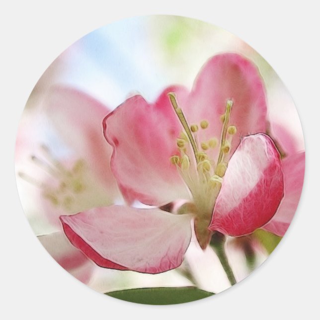 Adesivo Redondo Blossomas de Maçã Primavera Brilhante (Frente)