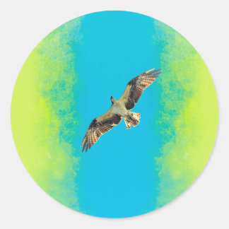 Adesivo Redondo Blue and yellow