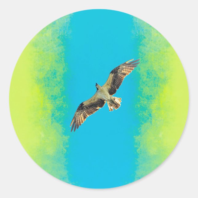 Adesivo Redondo Blue and yellow (Frente)