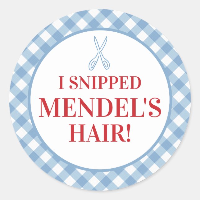 Adesivo Redondo Blue Gingham Upsherin "I Snippe Your Hair!" Adesiv (Frente)