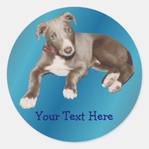Adesivo Redondo Blue Greyhound Puppy Animal Sticker