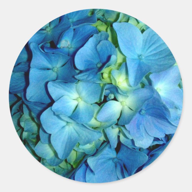 Adesivo Redondo Blue Hydrangea (Frente)