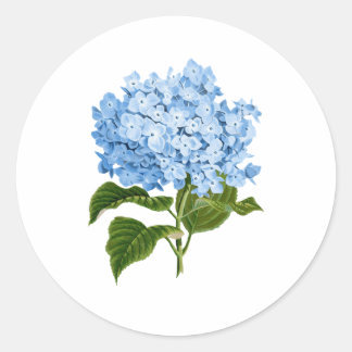 Adesivo Redondo Blue Hydrangea Grandmillennial