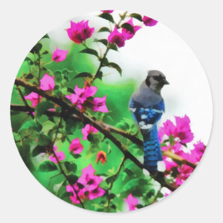 Adesivo Redondo Blue Jay