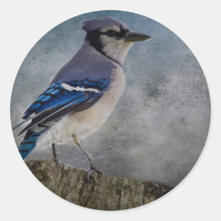 Adesivo Redondo Blue Jay