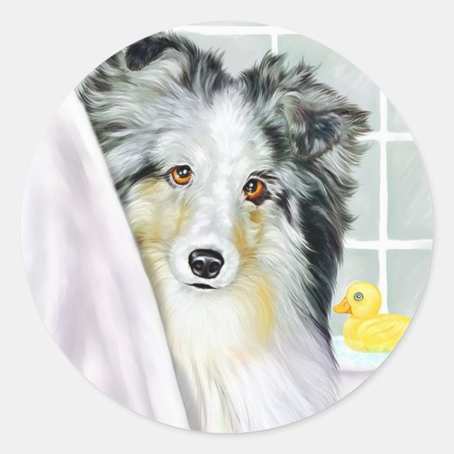 Adesivo Redondo Blue Merle Sheltie Bath (Frente)