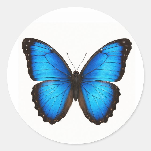 Adesivo Redondo Blue Morpho Brilliance (Frente)