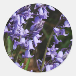 Adesivo Redondo Bluebeldes Flores Natureza Floral Azul Flor Roxo