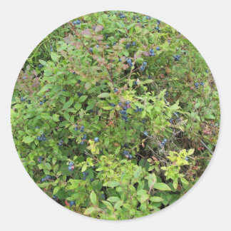 Adesivo Redondo Blueberry Bush