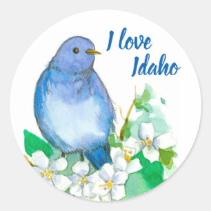 Adesivo Redondo Bluebird da montanha eu amo Idaho