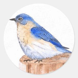 Adesivo Redondo Bluebird de descanso