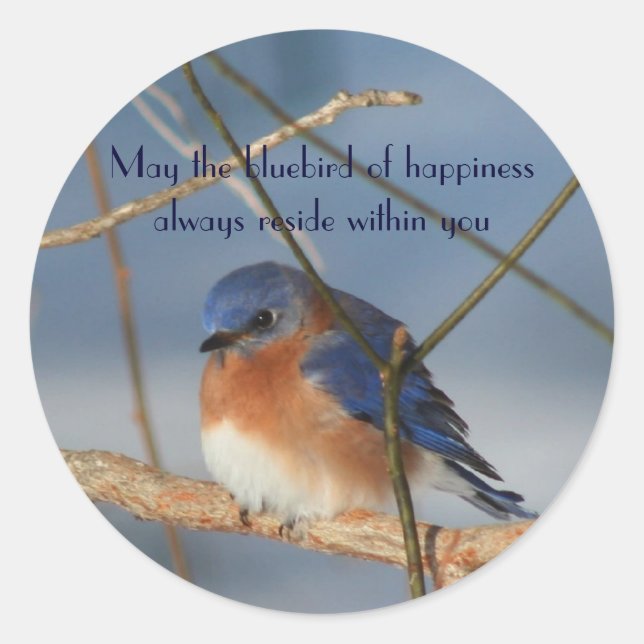 Adesivo Redondo Bluebird Of Felicidade Inspirational Sticker (Frente)