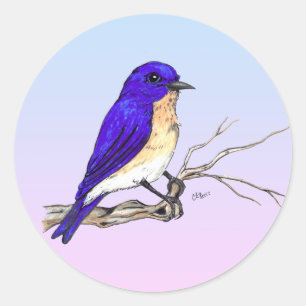 Adesivo Redondo Bluebird Sticker