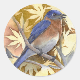 Adesivo Redondo Bluebird Sticker