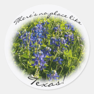 Adesivo Redondo Bluebonnet "Não há lugar como Texas" Sticker