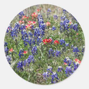 Adesivo Redondo Bluebonnets de Texas & Wildflowers do pincel