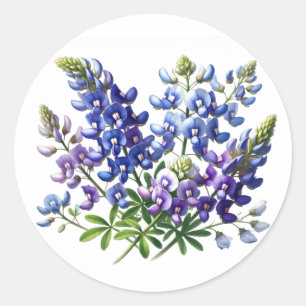 Adesivo Redondo Bluebonnets Texas State Flowers Lupine Watercolor
