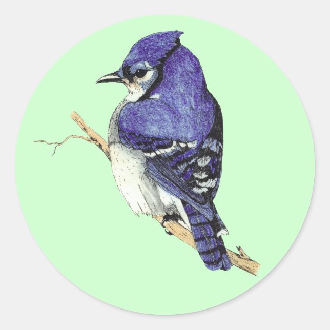 Adesivo Redondo Bluejay Sticker (Frente)
