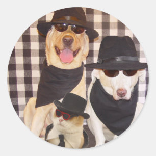 Adesivo Redondo Blues Labs e Cat Legal