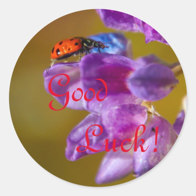 Adesivo Redondo Boa Sorte! (Frente)