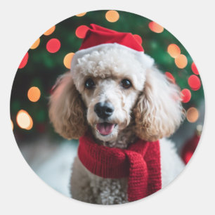 Adesivo Redondo Boas Papais noeis Foto do Natal do Pet Poodle