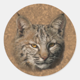 Adesivo Redondo Bobcat Sticker