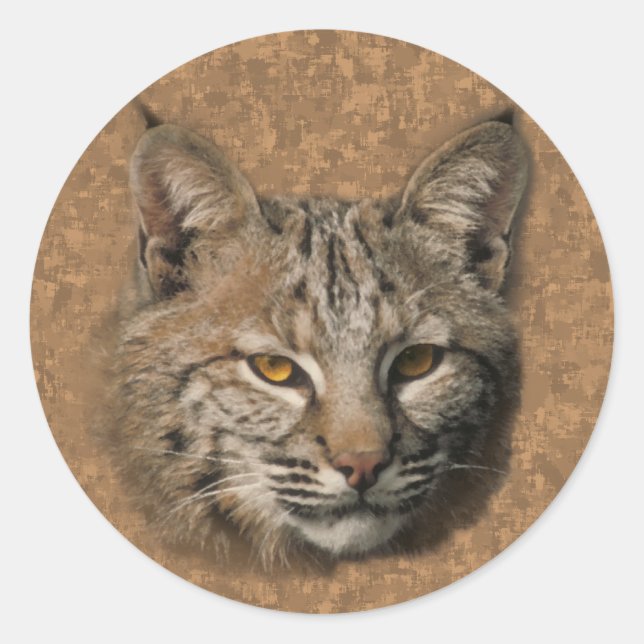 Adesivo Redondo Bobcat Sticker (Frente)