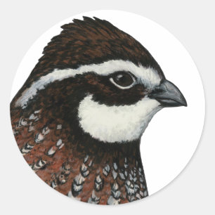 Adesivo Redondo Bobwhite Quail Head