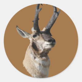 Adesivo Redondo Bode de Antílope Pronghorn A18 Tiro na Cabeça