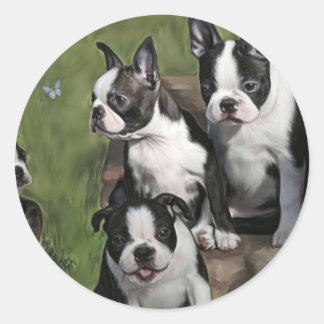 Adesivo Redondo Boinas Terrier de Boston