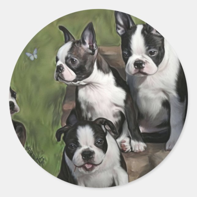 Adesivo Redondo Boinas Terrier de Boston (Frente)