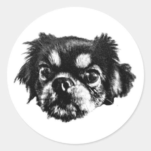 Adesivo Redondo Bold Pekingese Sticker – Black & White Face (Frente)